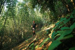 BIB: 
                            <button type="button" onclick="openModal(28141333)" class="btn btn-primary btn-sm float-right btn-popup" data-toggle="modal" data-target=".modal-high-quality">
                        <i class="fas fa-shopping-cart"></i> Add to Cart
                    </button>
                                            <button type="button" onclick="isThisMe(28141333, true)" class="btn btn-success btn-sm float-right btn-popup btn-isme hidden" data-toggle="tooltip" data-placement="bottom" title="นี่คือรูปของคุณใช่ไหม คลิกที่นี่เพื่อเอาเข้าอัลบั้ม">
                        <i class="fas fa-plus"></i> Add to album
                    </button>
                    <button type="button" onclick="isThisMe(28141333, false)" class="btn btn-warning btn-sm float-right btn-popup btn-isnotme hidden">
                        <i class="fas fa-ban"></i> Remove from album
                    </button>